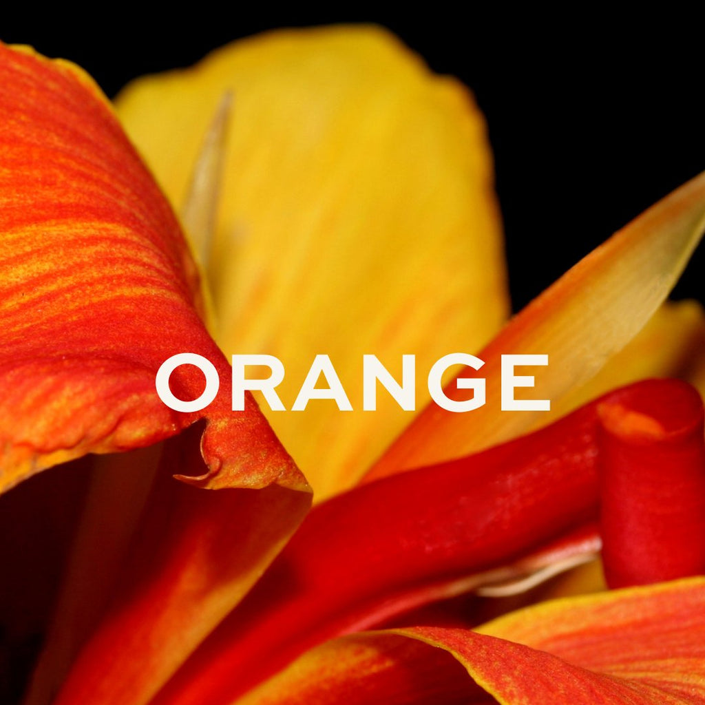 Orange Floral & Botanical Wall Art