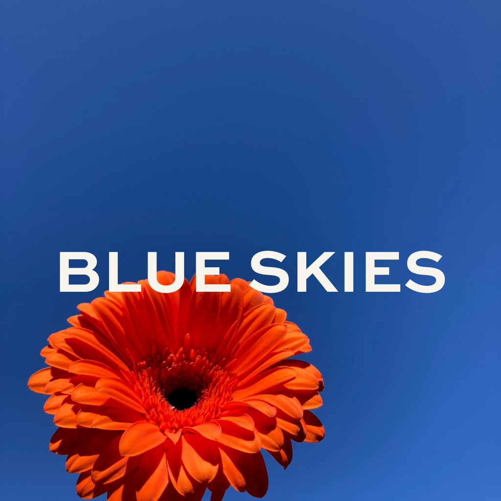 Blue Skies Floral & Botanical Wall Art