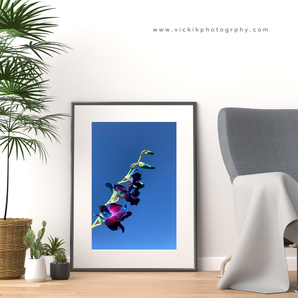 Floral and Botanical Wall Art available in Giclée Archival Fine Art and Poster Art Prints. Photographed by Vicki K and produced in Australia. Redefine your home décor style through art and colour. 