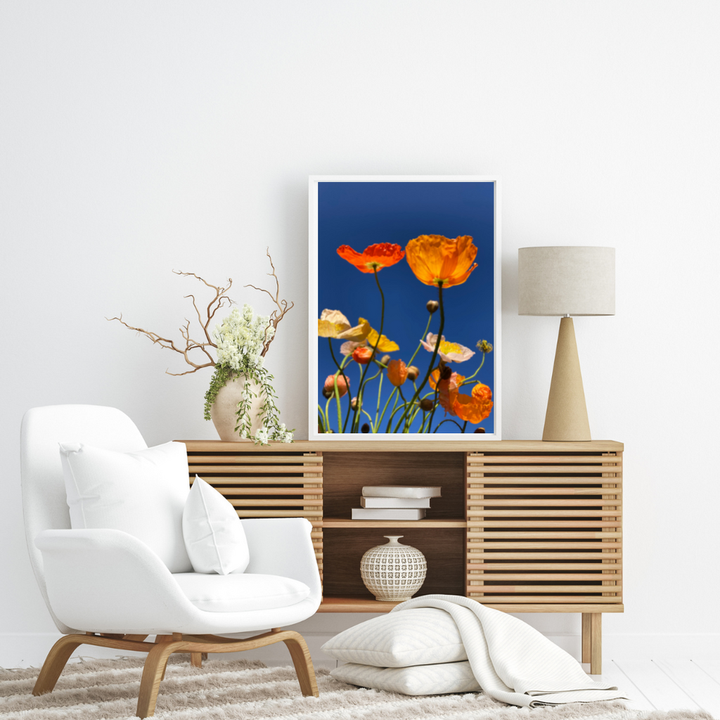Floral and Botanical Wall Art available in Giclée Archival Fine Art and Poster Art Prints. Photographed by Vicki K and produced in Australia. Redefine your home décor style through art and colour. 