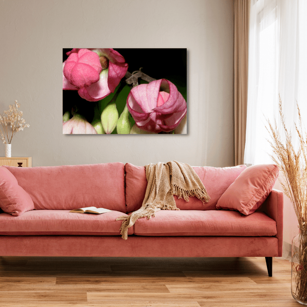 pink tropical flowers are wall art displayed in a lounge room with pink furniture, a couch with beige throw rug that compliments the dried plants, behind the couch is the fine art botanical photographic wall art of flower buds in motion to opening
