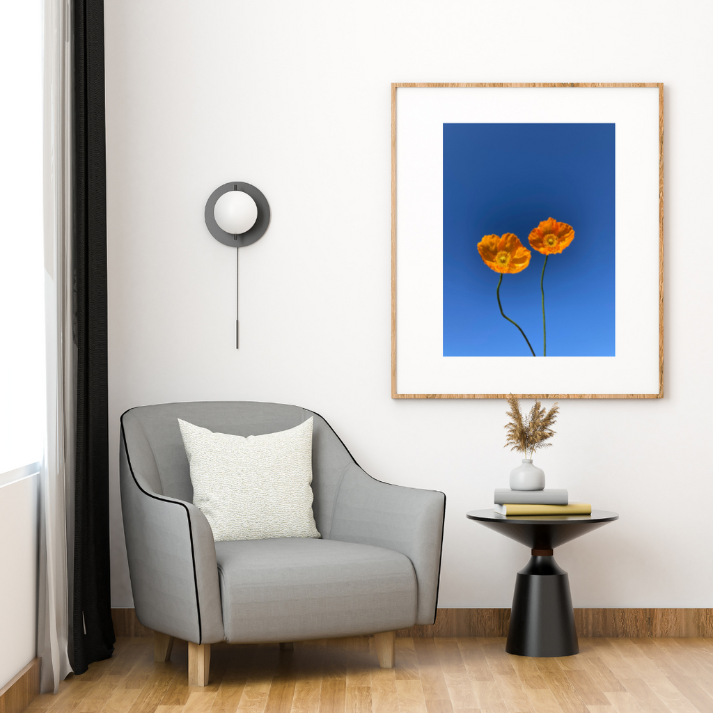 Hung on the wall of a sitting space is this Blue Background yellow flowers. Botanical Wall Art available in Giclée Archival Fine Art and Poster Art Prints. Photographed by Vicki K and produced in Australia. Redefine your home décor style through art and colour. The Home of mood defining collections of professionally photographed artwork.