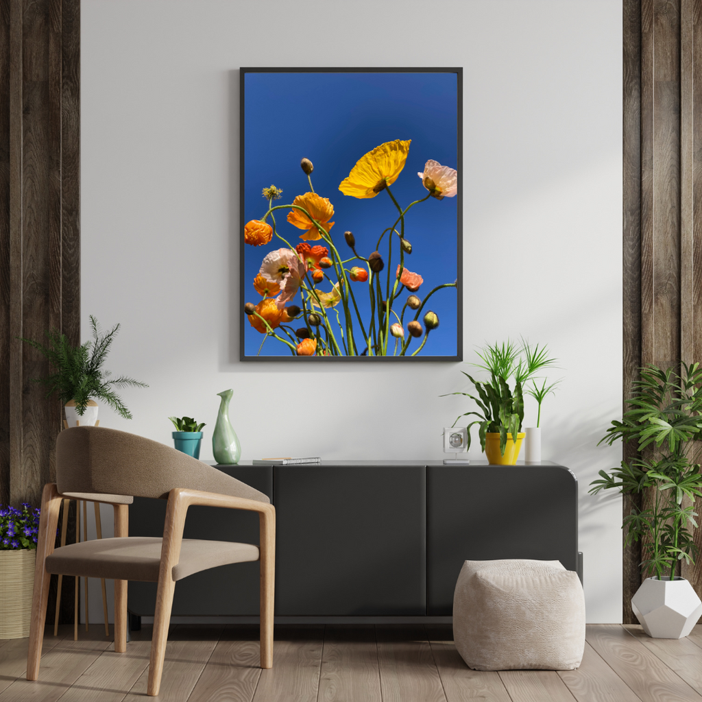 Hung in a entry way wall this Blue Background Yellow Orange and light pink Flowers. Botanical Wall Art available in Giclée Archival Fine Art and Poster Art Prints. Photographed by Vicki K and produced in Australia. Redefine your home décor style through art and colour. The Home of mood defining collections of professionally photographed artwork.