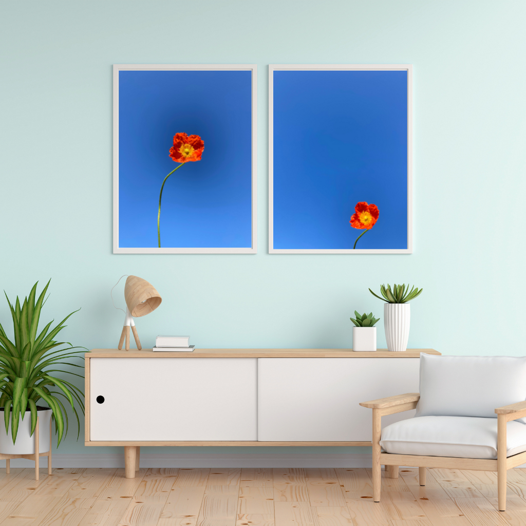 Blue Background red Flowers in a white frame against a light green wall in living room with sideboard beneath. Botanical Wall Art available in Giclée Archival Fine Art and Poster Art Prints. Photographed by Vicki K and produced in Australia. Redefine your home décor style through art and colour. The Home of mood defining collections of professionally photographed artwork.