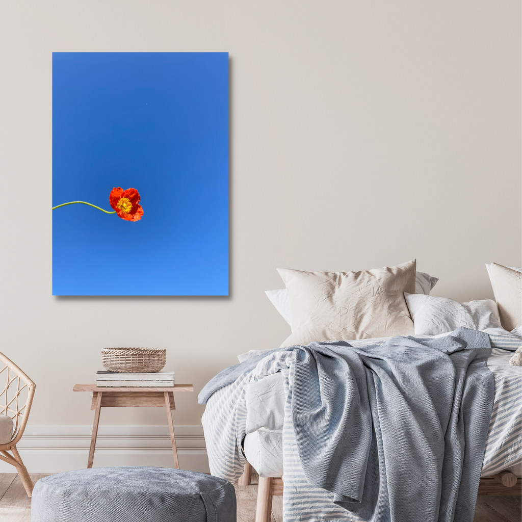 Hung on a bedroom wall is this Blue Background red Flowers. Botanical Wall Art available in Giclée Archival Fine Art and Poster Art Prints. Photographed by Vicki K and produced in Australia. Redefine your home décor style through art and colour. The Home of mood defining collections of professionally photographed artwork.